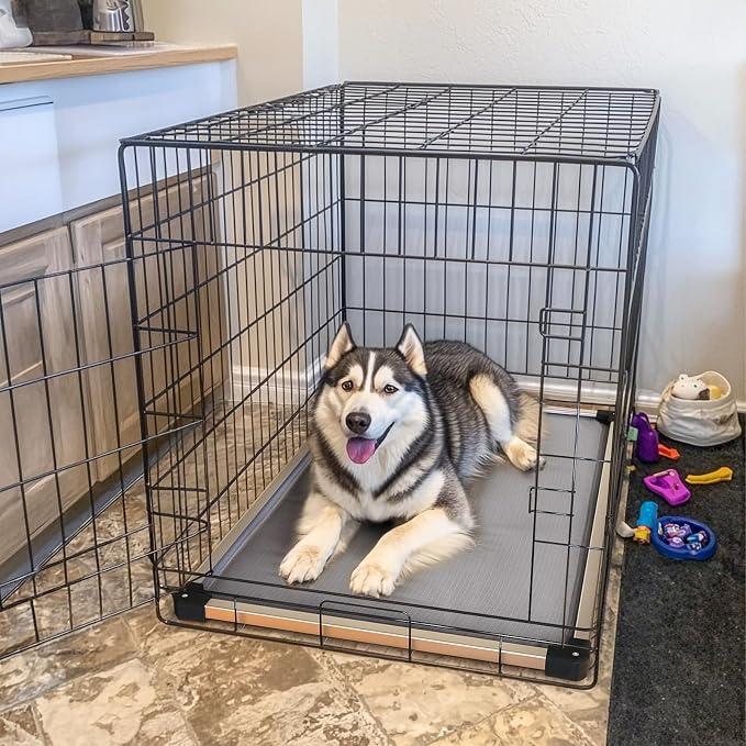 FXW TitanNest Chew-Proof Elevated Dog Bed, Raised Cot for Indoor/Outdoor/Camping Use, Durable & Washable Padded Pet Bed for Medium Dogs, 42.0" L x 27.0" W x 5.0" H, Gray - Image 3