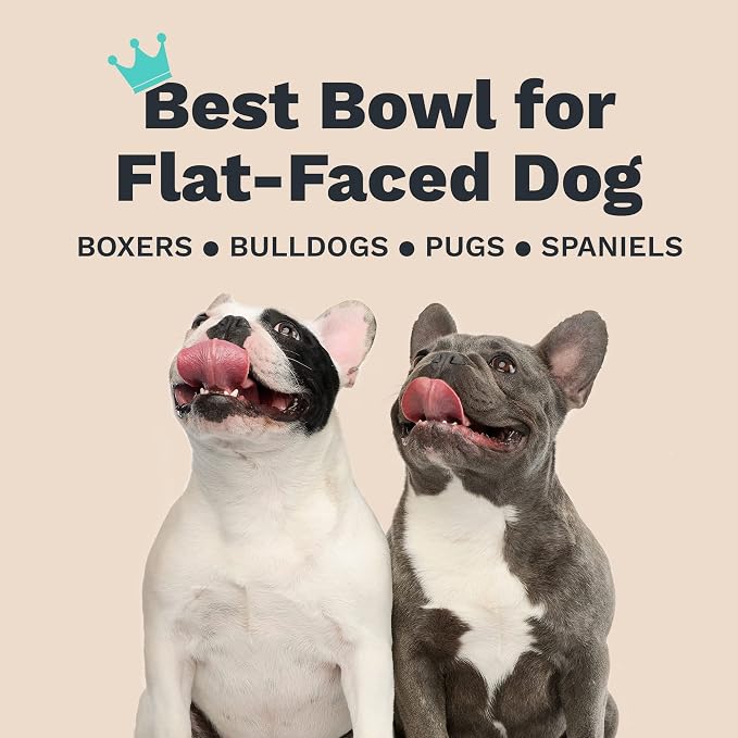 Enhanced Pet Bowl – Slanted Stainless Steel Dog Bowl for Breeds Like Bulldogs, Pugs – Raised Back, No-Spill, Reduces Gas & Mess – Medium Size, Non-Slip, Food-Grade - Does Not Ship from China - Image 6