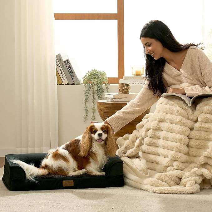 COZY KISS Orthopedic Dog Bed for Medium Size Dogs, Bolster Pet Couch with Waterproof Lining, Egg Crate Foam Sofa for Small Pets Up to 30 lbs, U-Shaped, 30x20x6.5 inch, Black - Image 2