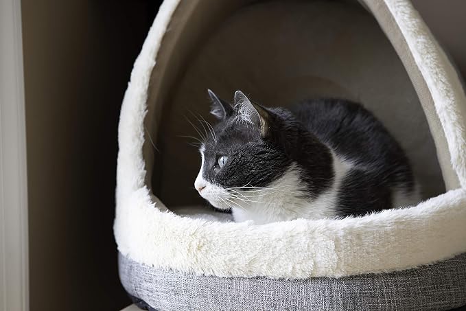 Best Pet Supplies Cat Bed for Indoor Cat, Domed Tent House with Removable Pillow, Covered Cat Cave for Small Dog, Puppies and All Breeds of Cats - Gray, 17 x 15 x H:14" - Image 6