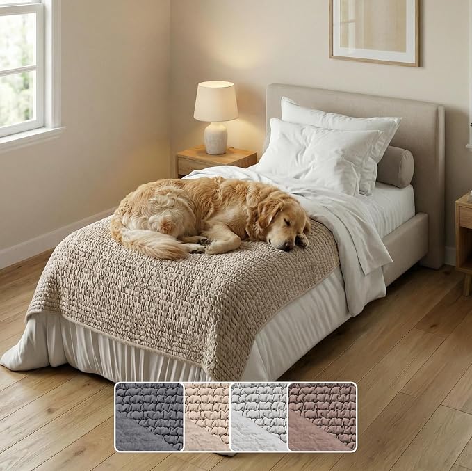 PAULATO BY GA.I.CO. Waterproof Blanket for Bed – Twin Size Cover for Incontinence – Machine Washable Stain-Resistant Protector for Couch and Sofa – Absorbent Pad - Macadamia by PAULATOBYGAICO