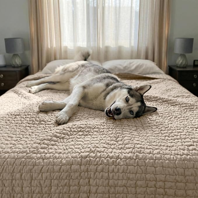 PAULATO BY GA.I.CO. Waterproof Blanket for Bed – King Absorbent Couch Cover – Machine Washable Stain-Resistant Pad for Large Sofa – Pets Cat & Dog Friendly Furniture Protector - Macadamia - Image 2
