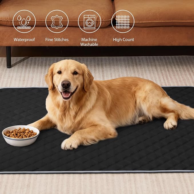 Eterish Reusable Washable Pee Pads for Dogs Large/Extra Large 36'' x 41'' 2 Pack, Absorbent Pet Puppy Dog Training Pads Non-Slip, Waterproof Whelping Potty Pads for Dogs Leak-Proof - Image 2