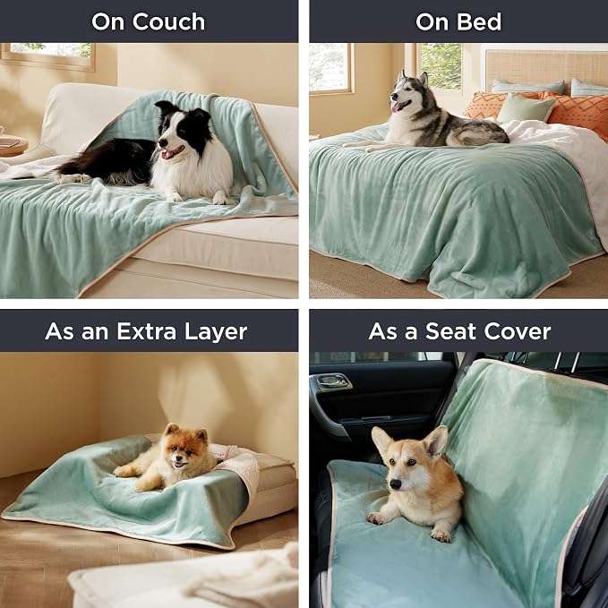 Bedsure Waterproof Blanket for Bed Soft Sherpa Fleece Throw,Twin 80"x60" | Plush Cozy Calming Reversible Dog Blankets for Large Senior Dogs,Warm Bed Couch Cover,Pet Furniture Protector,Light Green - Image 5