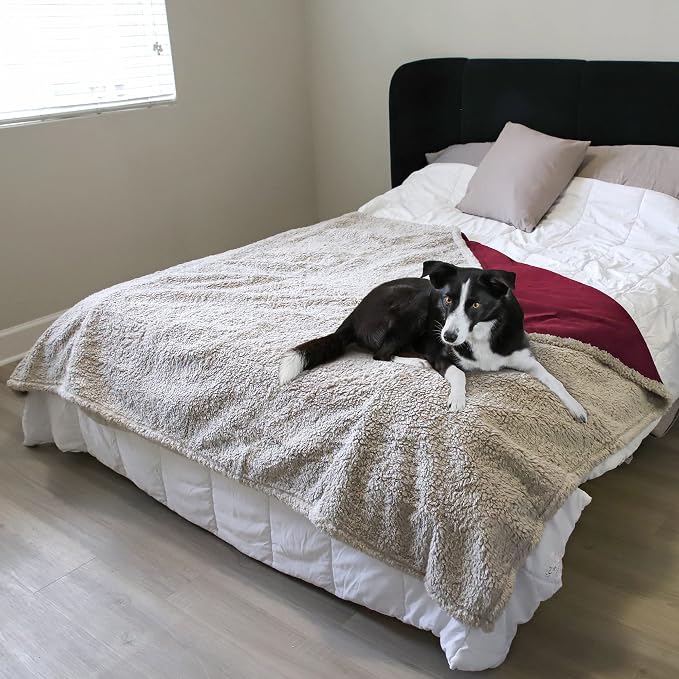 Kritter Planet Waterproof Reversible Pet Blanket for Dogs and Cats | 60 x 80 Inch, Waterproof Cover for Sofa and Bed, Washable Protection Against Fur, Dirt, Scratches and Everyday Messes - Image 5