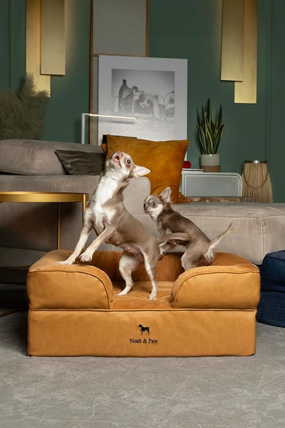 NOAH & PAW Dog Bed, 28x23x11 Inch, Orthopedic Dog Beds for Medium Size Pets, Eggshell Memory Foam Infused with Cooling Gel, Inner Cover, Water Resistant, Machine Washable (Faux Leather) - Image 2