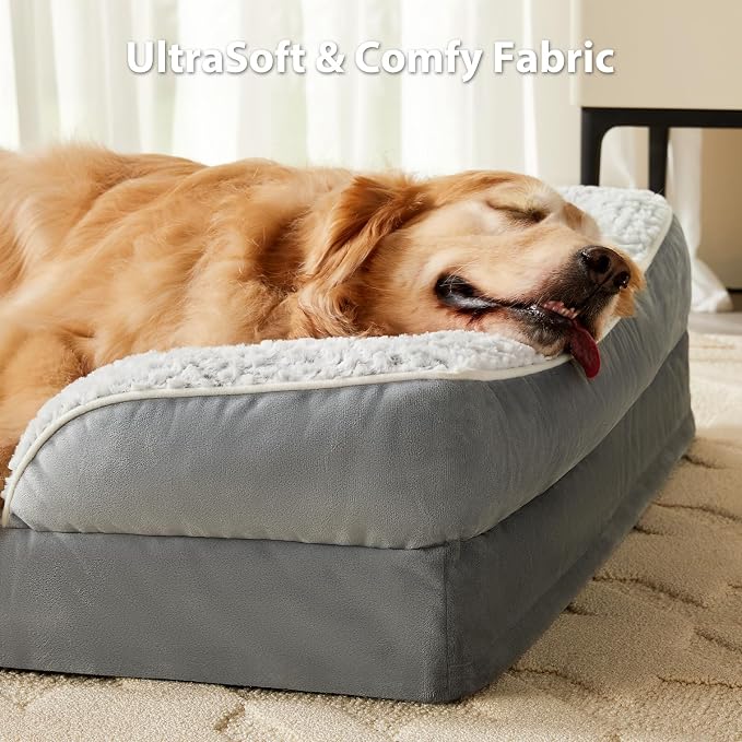 LEXTRO Orthopedic Dog Beds for Large Dogs, Comfy Washable Dog Couch Bed | 42x30 Inch Extra Large Dog Bed for Senior Dogs, Waterproof Lining, Big Dog Bed with Removable Cover and Anti-Slip Bottom - Image 2