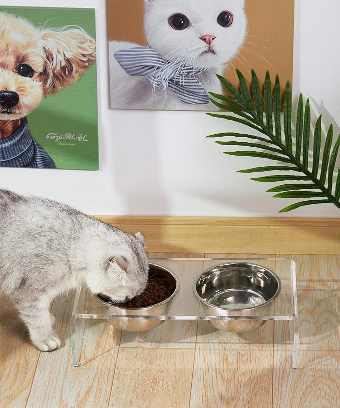 Acrylic Elevated Dog Cat Bowls Pet Feeder Double Bowl Raised Stand Comes with 4 Removable Stainless Steel Bowls. Perfect for Cats Puppies Small Dogs, 3.75 Inch - Image 6
