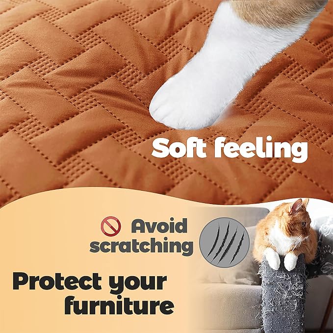 gogobunny 100% Double Sided Waterproof Dog Blanket Soft Pet Bed Cover Reversible Protect Furniture Couch Sofa Car for Puppy Cat Kids (Dark Pumpkin/Light Pumpkin, 40x50 Inch (Pack of 1)) - Image 4