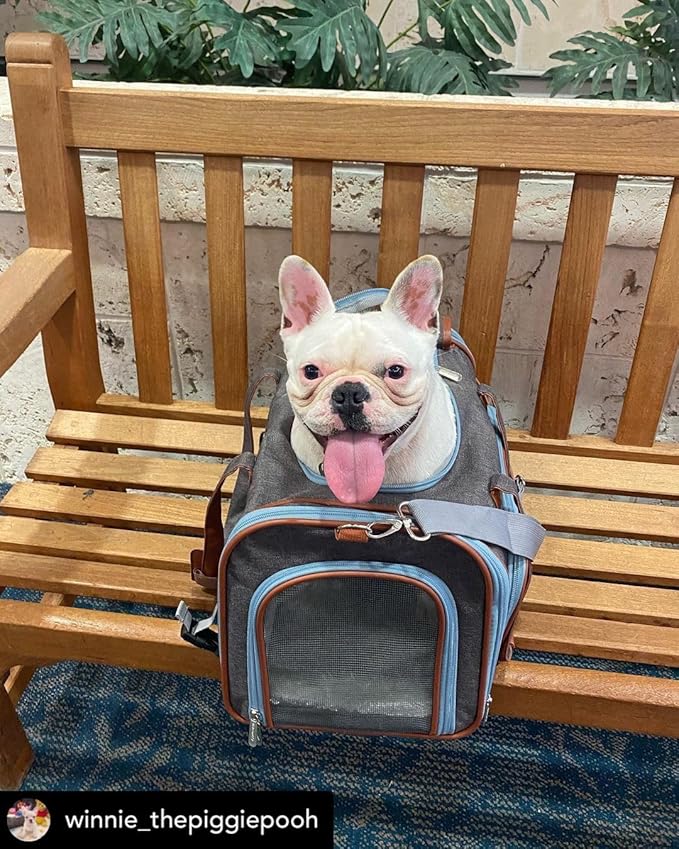 Mr. Peanut's Gold Series Big Apple XL Expandable Pet Carrier V3.0 (Platinum Gray)