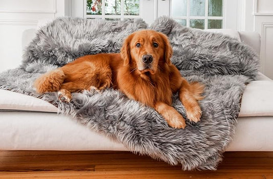 PAW BRANDS PupProtector Waterproof Throw Blanket, Charcoal Grey, 80x62 | Waterproof, machine washable — protects couches, beds & car seats by PAWBRANDS