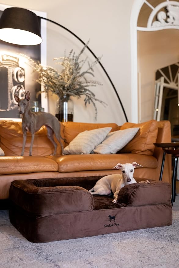 NOAH & PAW Large Dog Bed, 35x25x11 Inch, Orthopedic Dog Beds, Eggshell Memory Foam Infused with Cooling Gel, Inner Cover, Water Resistant, Machine Washable (Velvet Sofa Collection) - Image 7