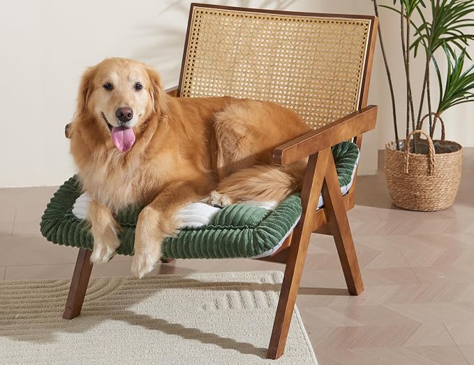 Couch Cushion Cover for dogs Sofa Cover Washable Pet Love Seat Couch Covers for Sofa Slipcovers Couch Protector Blanket for Dogs Sofa Cushion Covers for Pets Washable Pad Green 70x70cm/27.6x27.6in - Image 6
