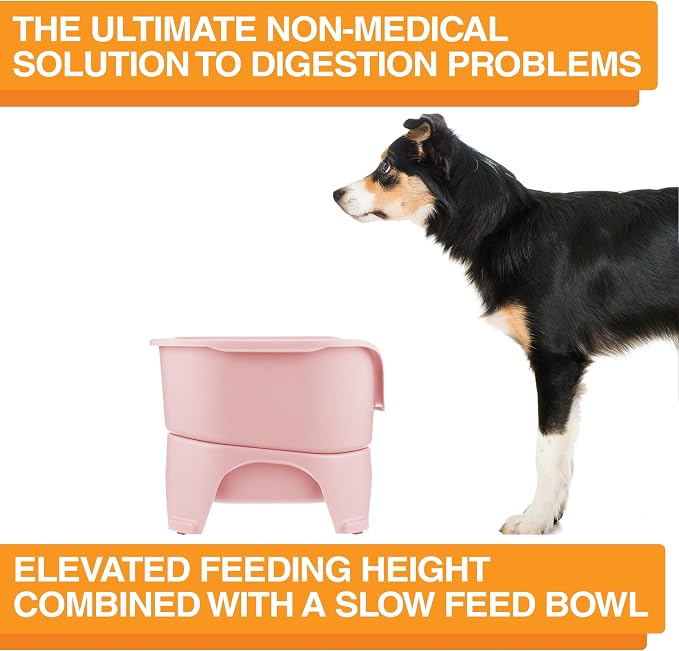 Neater Feeder - Express Model w/Slow Feed Bowl - Mess-Proof Dog Bowls (M/L, Pink) Made in USA – Elevated, No Spill, Non-Tip, Non-Slip, Raised Stainless Steel Food/Water Pet Bowls Aid Digestion - Image 7