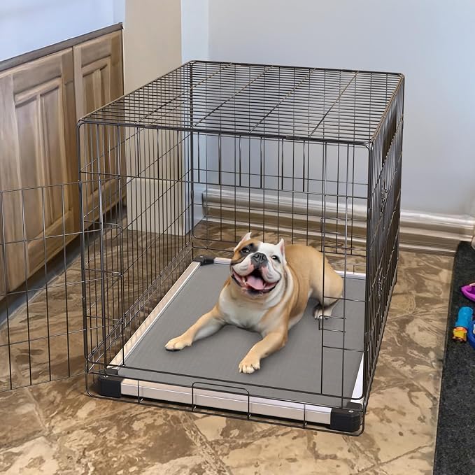 FXW TitanNest Chew-Proof Elevated Dog Bed, Raised Cot for Indoor/Outdoor/Camping Use, Durable & Washable Padded Pet Bed for Small Dogs, 35.0" L x 22.0" W x 4.5" H, Gray - Image 3