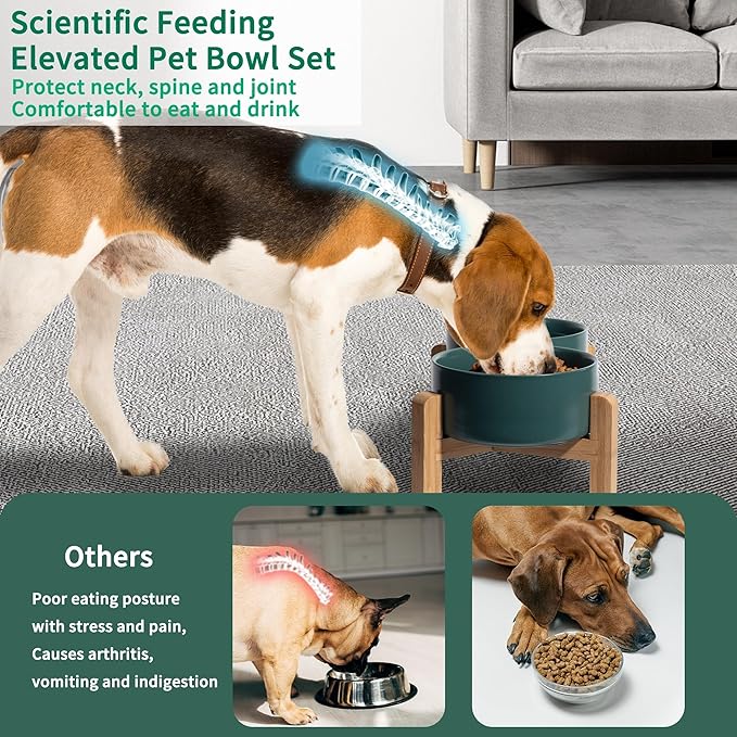 Elevated Ceramic Dog Bowl, 3.6 Cups Dog Food and Water Bowl Set with Stand | 6.1'' Double Dog Feeding Dishes, Non-Slip Raised Dog Feeder for Small and Medium Breeds, 28.74 OZ / 850 ML, White - Image 4