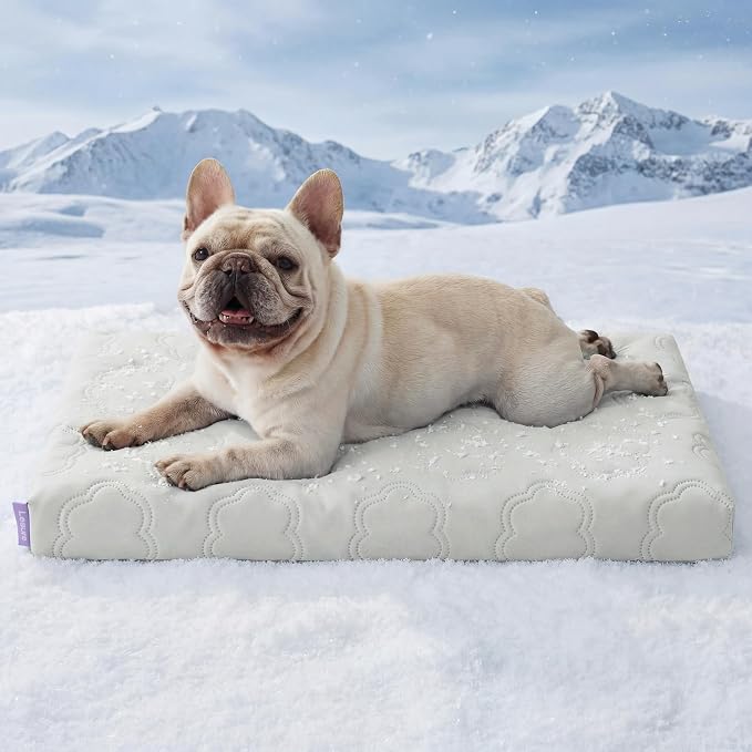 LESURE ApexCloud™ Cooling Dog Bed with Washable Cover for Medium Dogs, 29IN | Q-Max>0.5 Cool-Touch Fabric, Orthopedic Egg Crate Foam,Breathable Non-Slip Summer Mat,For Active Senior Long-Haired Pets,Grey by Lesure