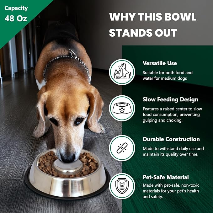 Iconic Pet Set of 2 Stainless Steel Non-Skid Slow Feed Bowls for Large Dogs (48 oz) - Ideal for Food and Water, Durable Design with Raised Center - Image 2