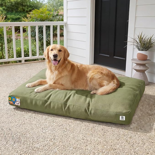 Sytopia 42 Inch Indestructible Canvas Outdoor Durable Dog Bed for Extra Large Dogs, Chew Proof Shredded Chopped Foam Patio Pet Pad for Crate with Waterproof Machine Washable Removable Cover, Green by Sytopia