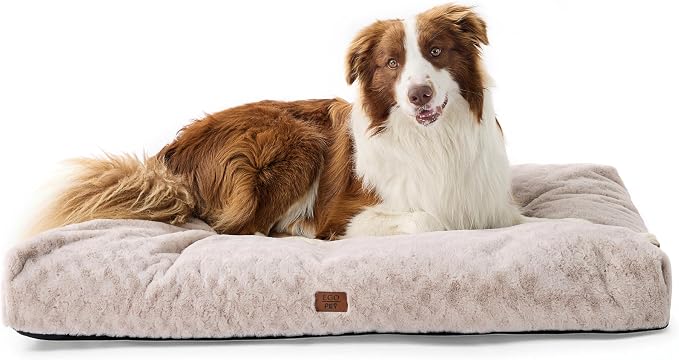 EGOHOME Dog Bed for Large Dogs, Shredded Memory Foam, Washable, Non-Slip | Balanced Support Foam, CertiPUR-US, Removable Washable Cover, Rose Velvet, Dog Crate Bed & Kennel Pad, 35 x 23 Inch, Beige by Unknown