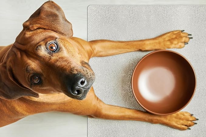 Clear Pet Bowl Mat - USA Made, Waterproof, 17 x 25.5 Inch, 2mm Thick Pebbled Vinyl, Dog Crate Floor Protector - Image 2