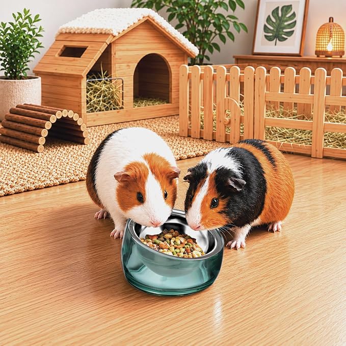 Felli Oblik 15° Tilted Small Animal Bowls for Pet Food & Water 6 oz Stainless Steel Dish Removable, Slanted Metal Plate Feeder for Kitten Puppy Rabbit Bunny Guinchilla Pig (0.75 Cups, Classic) - Image 7