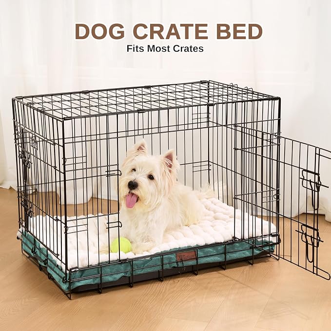 Orthopedic Dog Bed for Small Dogs,Firm Egg Crate Foam,Non-Slip Bottom,Green | Soft Plush Surface,Removable Machine Washable Cover,Ideal for Crates & Small Spaces,Designed for Joint Support,23"x17"x3" - Image 8