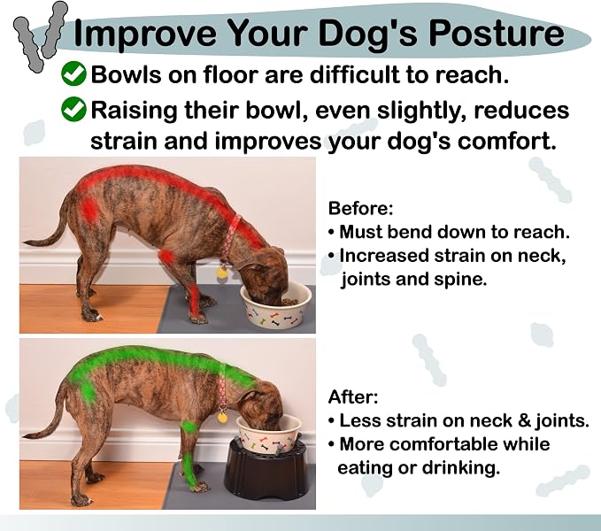 My Bowl Stand | 5” Elevated Stand for Any Dog Bowl up to 7.5” Width, Made in USA, Lift Your Pet’s Food or Water, Reduces Joint Strain, Sturdy + Washable + Stackable, Adjustable Raised Feeder - Image 4