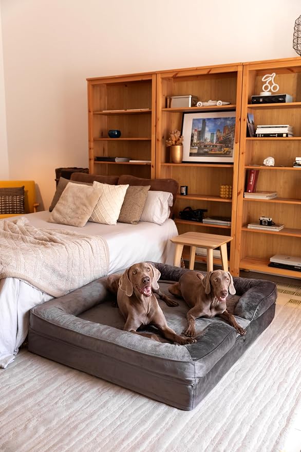NOAH & PAW Giant Dog Bed XXL, 55x45x11 Inch, Orthopedic Dog Beds, Eggshell Memory Foam Infused with Cooling Gel, Inner Cover, Water Resistant, Machine Washable (Velvet Sofa Collection) - Image 3