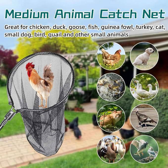 Catch Net - Small Animal Catcher for Chicken, Duck, Goose, Fish, Cat, Bird, Raccoon, Dog and Others (43"-78" Handle with 20" Net Opening) - Image 2