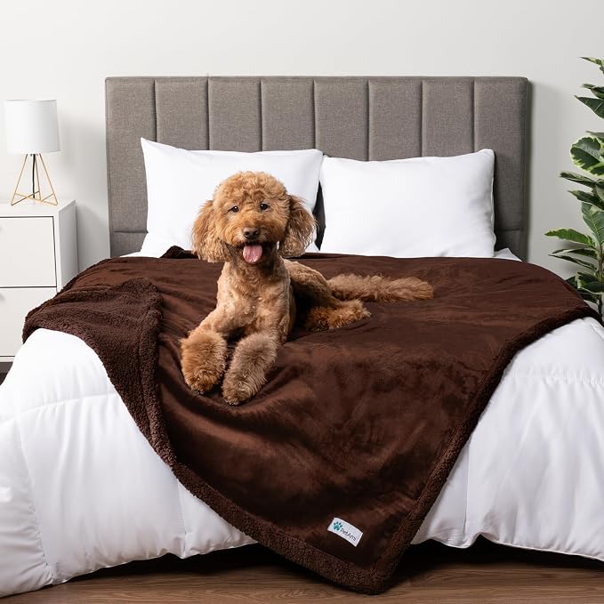 PetAmi Waterproof Dog Blanket for Couch, Queen 90x90, Pee Proof Sherpa Fleece Reversible Pet Throw, Furniture Protector for Bed Sofa, Soft Washable Cover for Large Dogs Cats, Brown Sherpa by PetAmi