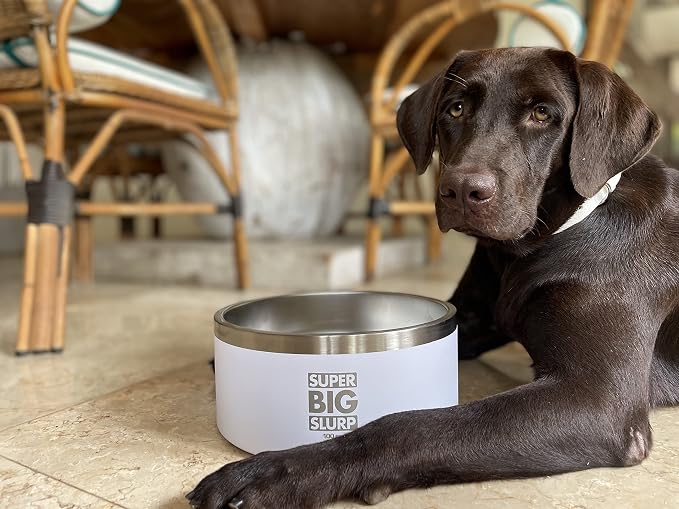 Tuff Pupper 100 oz Heavy Duty Insulated Stainless Steel Dog Bowl for Large Dogs, Non-Slip Base, Dishwasher Safe - Image 8