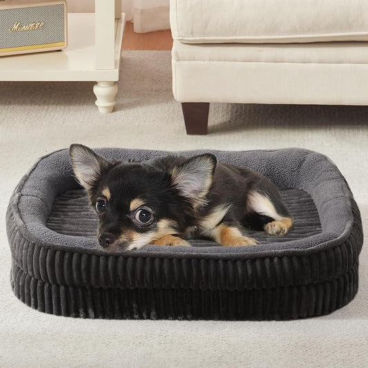 Orthopedic Dog Bed for Puppy,Extra Small Dogs Breeds,Oval Cat Bed,High Density Egg Crate Foam Dog Sofa Beds,Pet Couch Bed with Four Sided Bolster,Removable Washable Cover&Non-Slip Bottom by DEBANGHOME