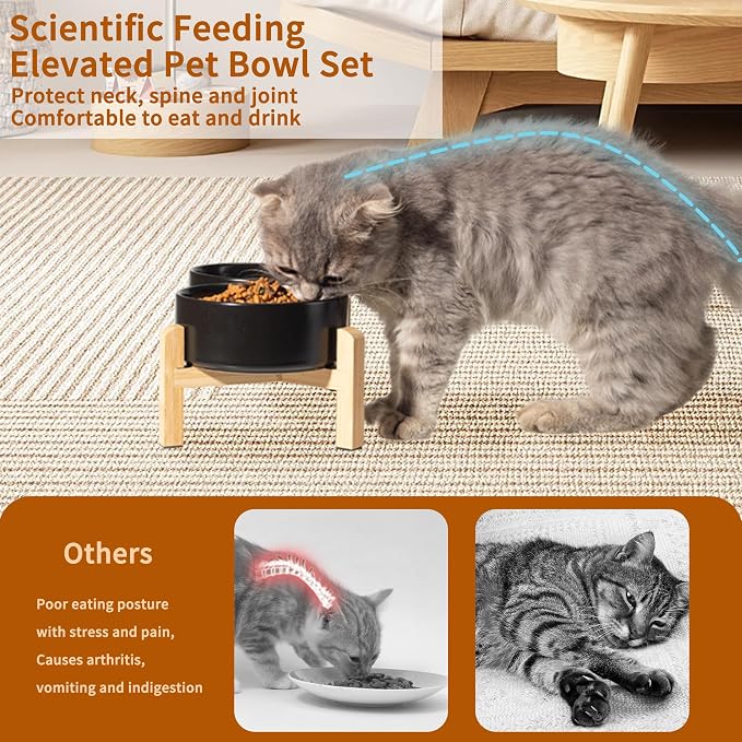 Elevated Ceramic Dog Bowl, 2 Cups Dog Food and Water Bowl Set with Stand | 5.1'' Double Dog Feeding Dishes, Non-Slip Raised Dog Feeder for Cats and Puppies, 16.23 OZ / 480 ML, White - Image 4