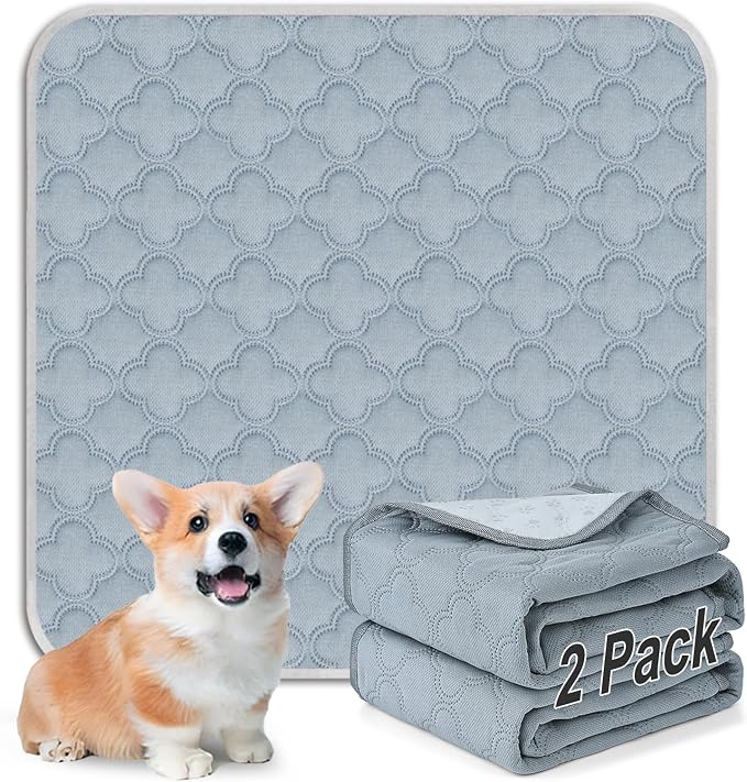 FunFurry Washable Pee Pads for Dogs - Reusable, Waterproof, Super Absorbent with Non-Slip Backing (Light Grey, 24" X 24" - 2 Pack) by FUNUPFURRYLIFE
