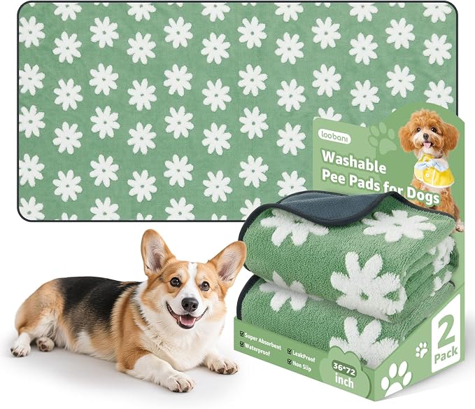 LOOBANI Washable Puppy Pads, Reusable Dog Pee Mat 36"x72", 2 Pack | Super Absorbent, Waterproof, Leakproof, Non-Slip, Soft For Playpen, Crate, Potty Training, Floors by LOOBANI