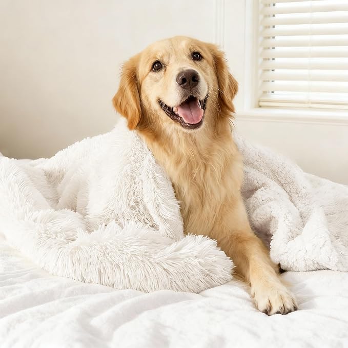 gogobunny Waterproof Dog Blanket for Couch & Furniture Protection - Super Soft Reversible Throw for Large Dogs & Cats, Calming Washable Fur & Sherpa Pet Blanket (50x60 Inch, Cream) by gogobunny