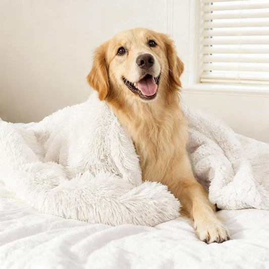 gogobunny Waterproof Dog Blanket for Couch & Furniture Protection - Super Soft Reversible Throw for Large Dogs & Cats, Calming Washable Fur & Sherpa Pet Blanket (50x60 Inch, Cream) by gogobunny