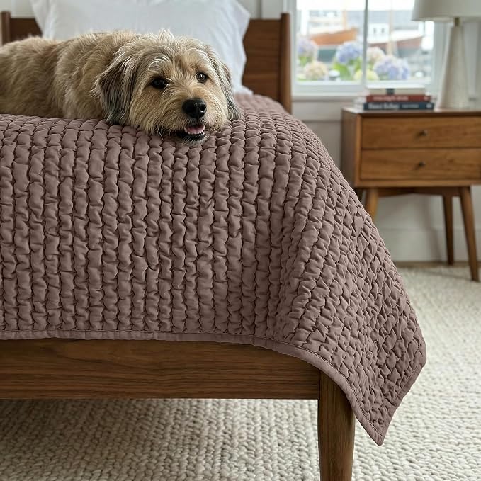 PAULATO BY GA.I.CO. Waterproof Blanket for Bed – Twin Size Cover for Incontinence – Machine Washable Stain-Resistant Protector for Couch and Sofa – Absorbent Pad - Soft Taupe - Image 2