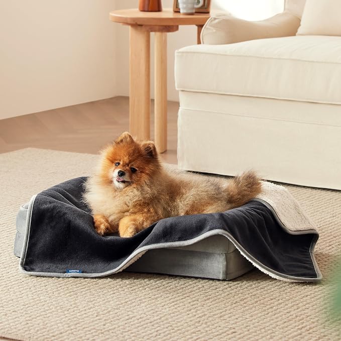 Bedsure Waterproof Dog Blankets for Small Dogs Soft Cat Blanket Warm,25X35 | Washable Plush Sherpa Fleece Puppy Blanket for Couch Protector, Reversible Cozy Calming Throw for Pet Indoor,Black by Unknown