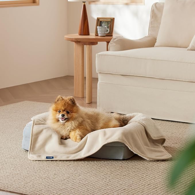 Bedsure Waterproof Dog Blankets for Small Dogs Soft Cat Blanket Warm,25X35 | Washable Plush Sherpa Fleece Puppy Blanket for Couch Protector, Reversible Cozy Calming Throw for Pet Indoor,Cream - Image 9