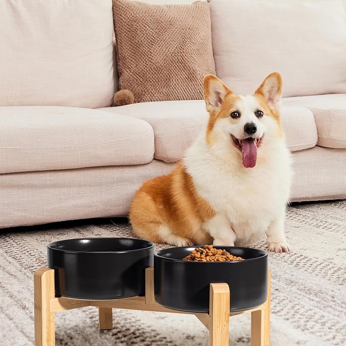 Elevated Ceramic Dog Bowl, 3.6 Cups Dog Food and Water Bowl Set with Stand | 6.1'' Double Dog Feeding Dishes, Non-Slip Raised Dog Feeder for Small and Medium Breeds, 28.74 OZ / 850 ML, White - Image 6