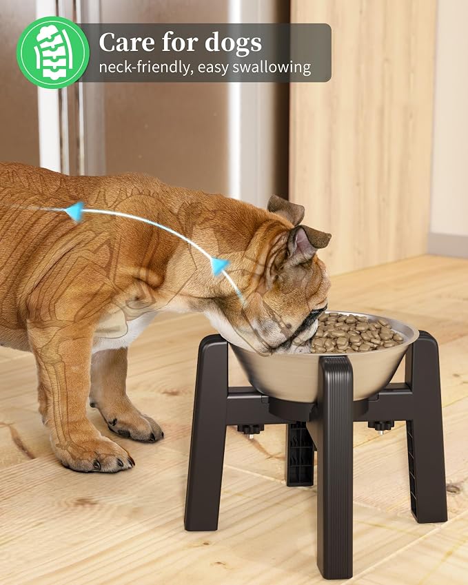 CZPET Elevated Dog Bowl, Raised Dog Bowl Stand with Stainless Steel Bowl | Elevated Pet Water & Food Bowl for Medium Dogs, Stable and Anti-Slip Raised Bowl - Image 7