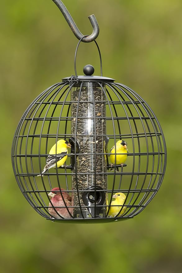 Gardener's Supply Company Globe Cage Bird Feeder | Outdoor Sturdy and Squirrel Proof Hanging Cage | Best for Finches Hummingbirds Nuthatches and Other Small Birds - Holds 3 Cups of Seeds - Image 5