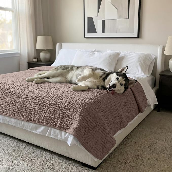 PAULATO BY GA.I.CO. Waterproof Blanket for Bed – King Absorbent Couch Cover – Machine Washable Stain-Resistant Pad for Large Sofa – Pets Cat & Dog Friendly Furniture Protector - Soft Taupe - Image 2