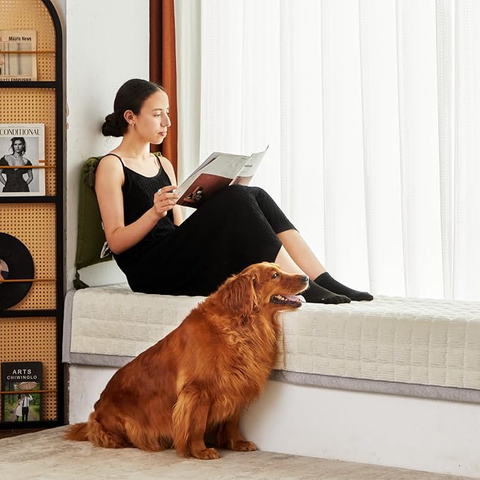 Couch Cover for Dogs Washable,Anti-Slip Back Cat Mat Pet Pad Blanket for Furniture Protector,Fuzzy Pet Sofa Cover for 3 Cushion Couch Sofa Pets Friendly (Ivory, 1pc/36"x68"/Seat Cover) - Image 2