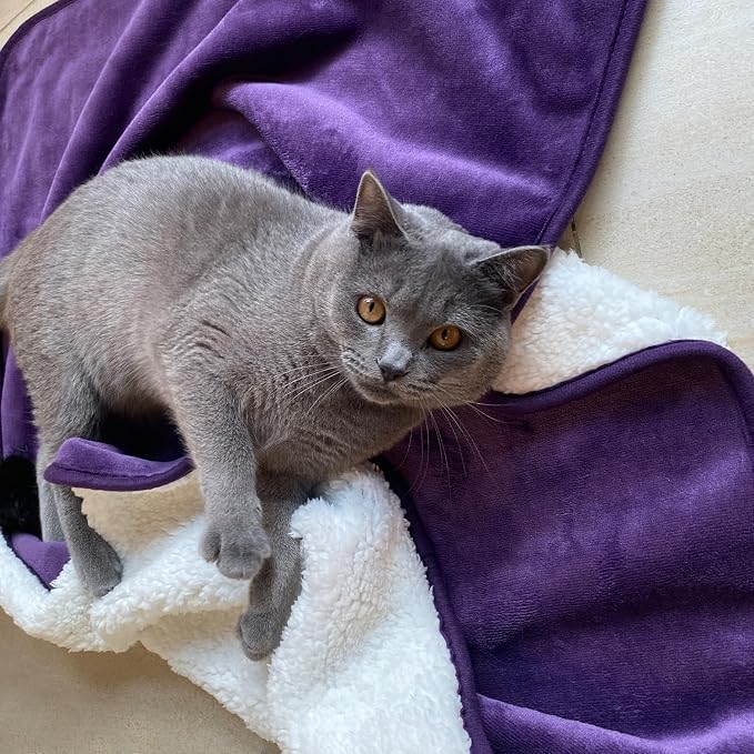 Waterproof Blanket for Bed Couch Sofa, Soft Liquid Pee Proof Pet Blanket for Dog Puppy Cat, Reversible Sherpa Fleece Furniture Protector (Dark Purple, 30x40 inches) - Image 2