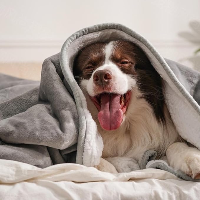 gogobunny Waterproof Blanket for Bed Couch Sofa, Liquid Pee and Fur Proof Pet Blanket for Dog Puppy Cat, Reversible Sherpa Fleece Throw Blanket Furniture Cover Protector (Grey, 50x60 inches) - Image 4