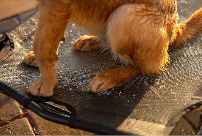 Momarsh Home Cot Breeze Elevated Pet Bed | Non Slip Feet with Breathable Mesh | Portable Dog Cot | Hot Spot Reducing | All in One Large Dog Bed for Indoor and Outdoor Use - Image 7