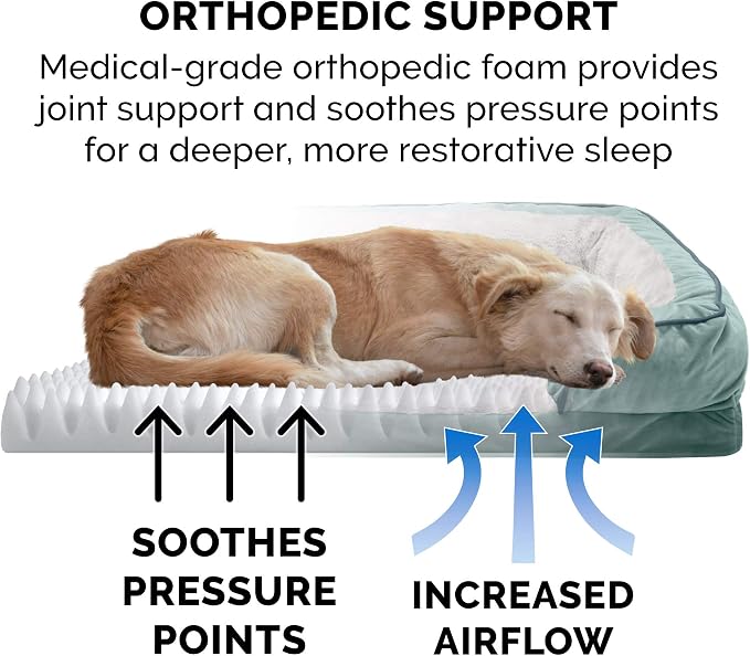 Furhaven Orthopedic Dog Bed for Medium/Small Dogs w/ Removable Bolsters & Washable Cover, For Dogs Up to 35 lbs - Plush & Velvet Waves Perfect Comfort Sofa - Celadon Green, Medium - Image 5
